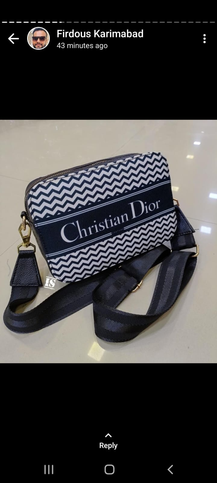 Christian Dior Purse